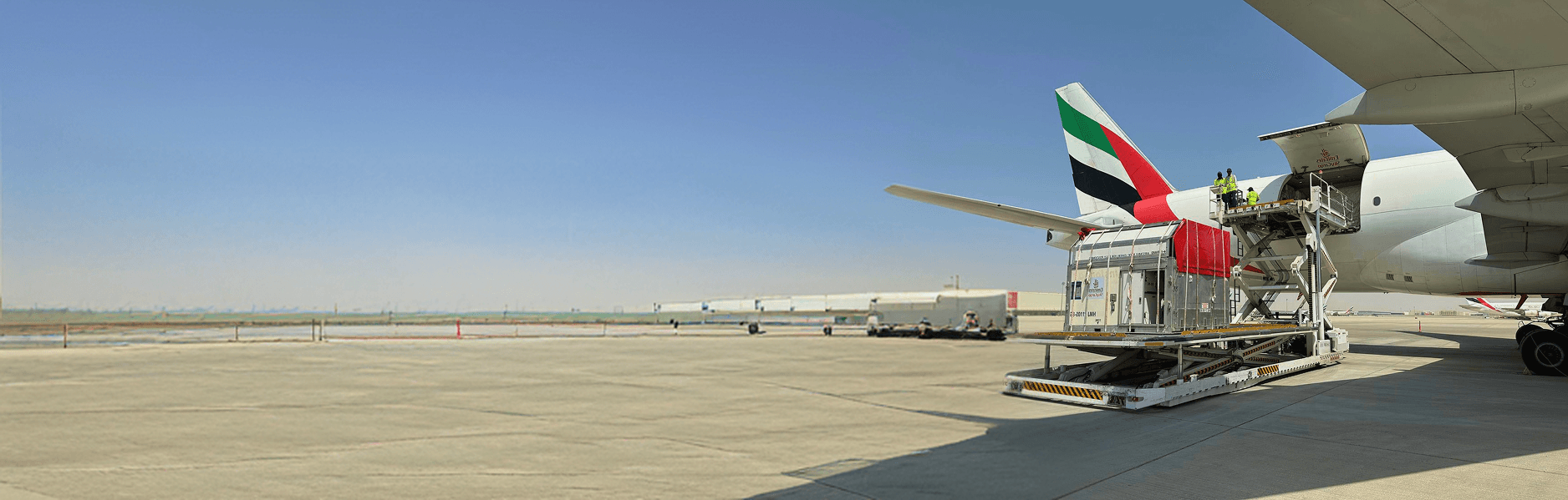 A ProEquine charter aircraft being prepared for horse transport