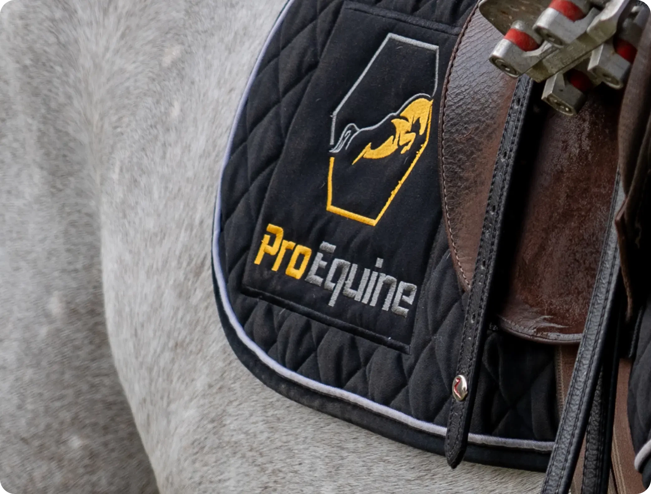 ProEquine saddle pad and tack on a horse