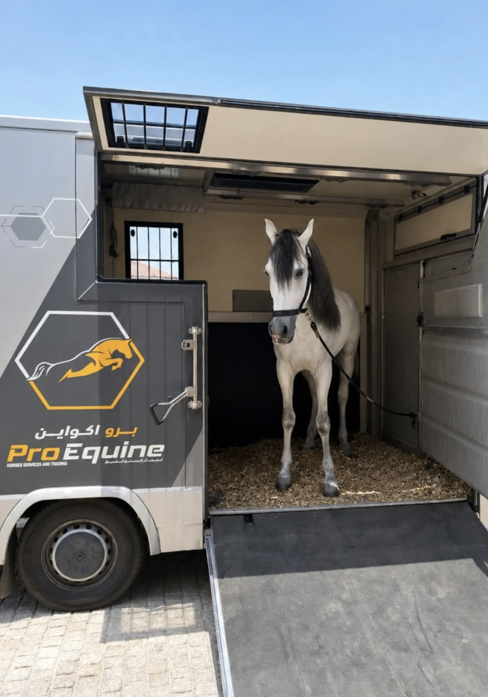 Small ProEquine horse truck 7