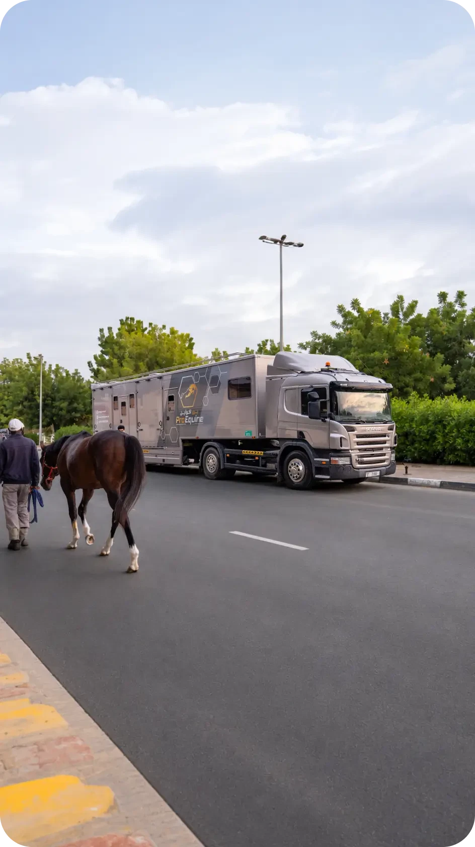 ProEquine horse transport vehicle 4