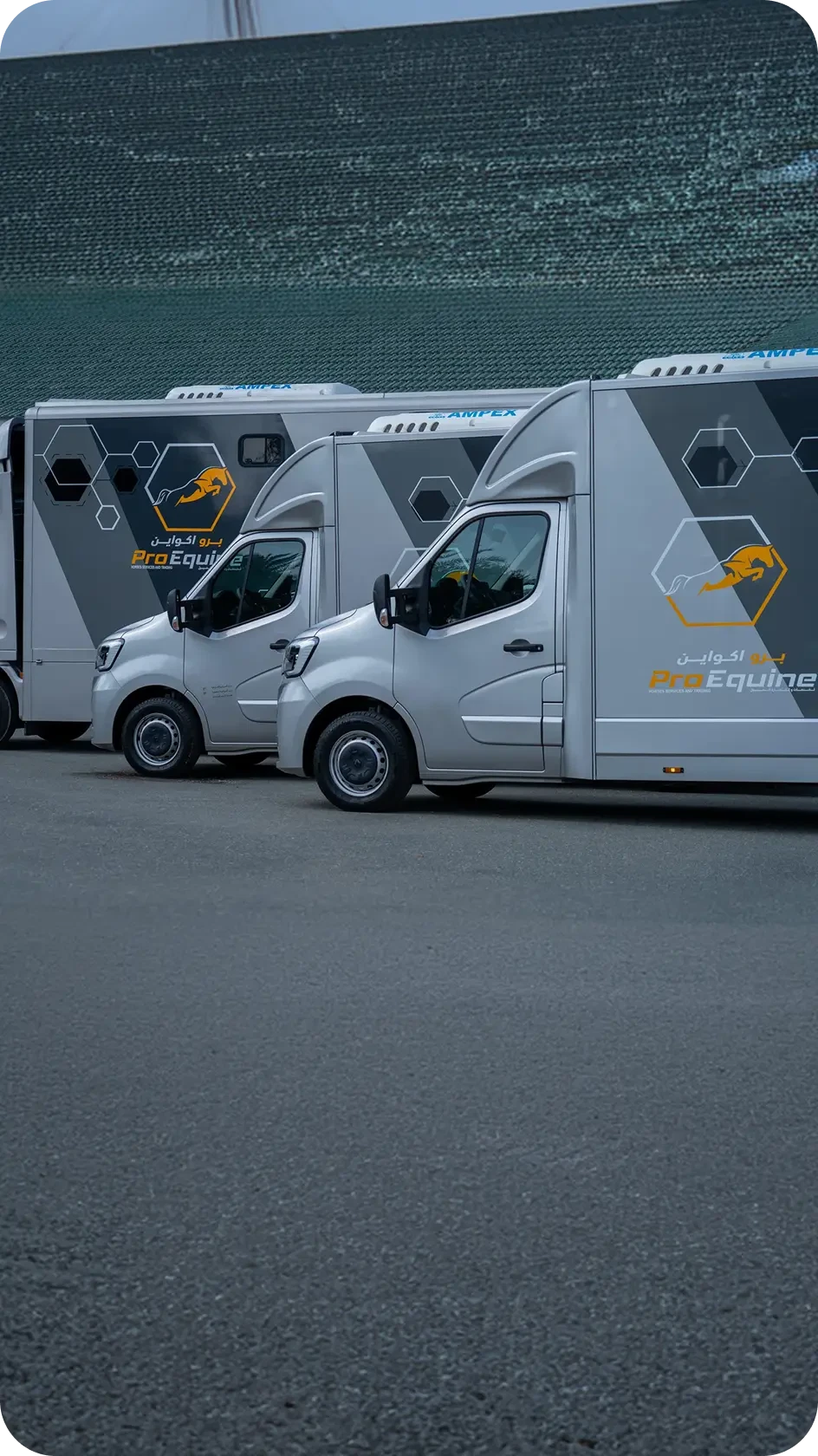 ProEquine horse transport vehicle 5