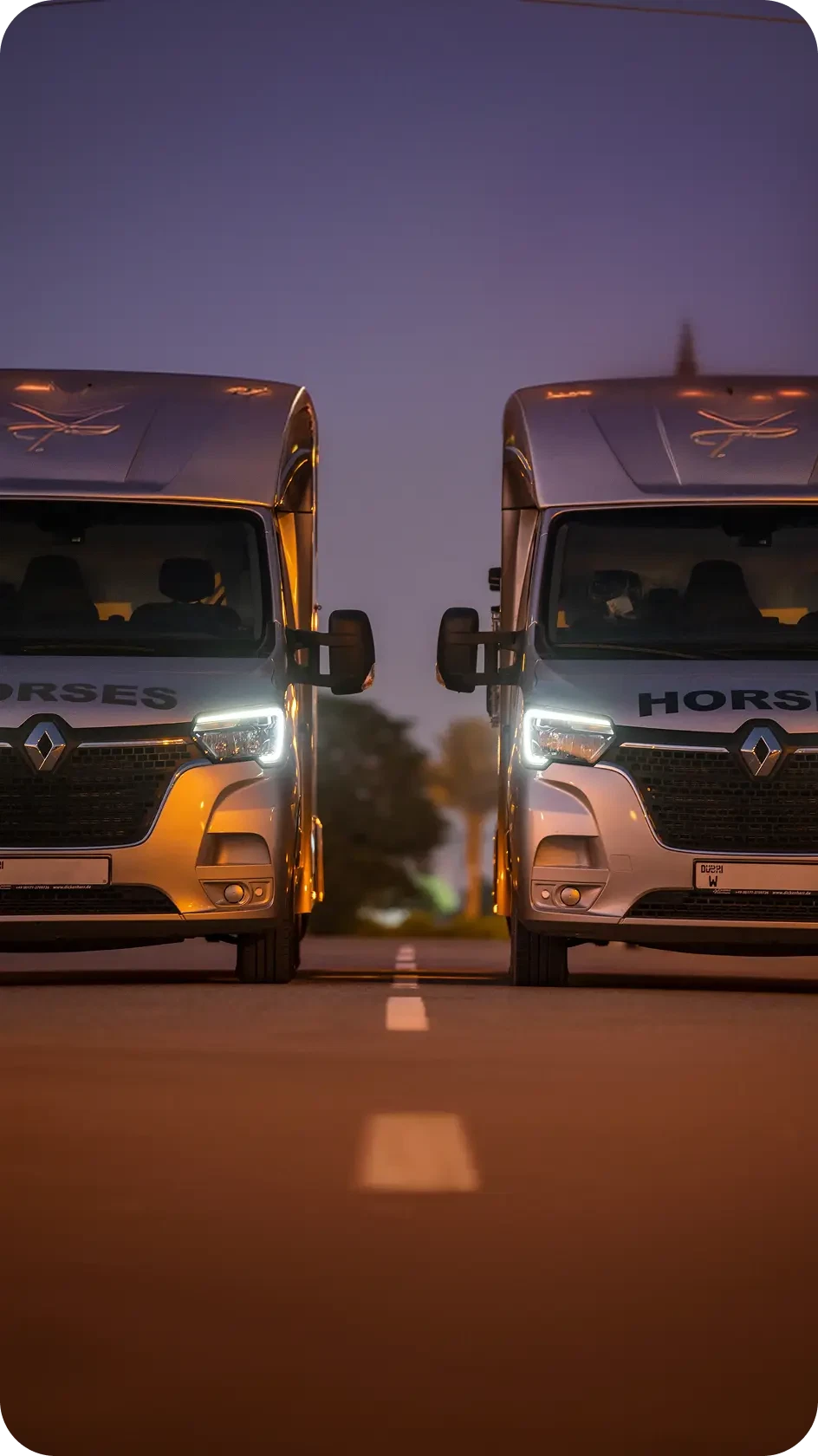 ProEquine horse transport vehicle 6